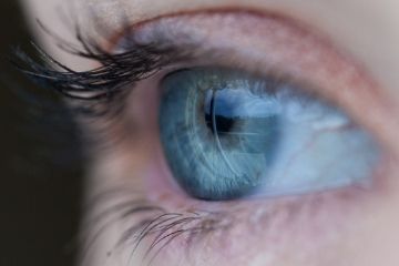¿Qué es la Retina del Ojo?